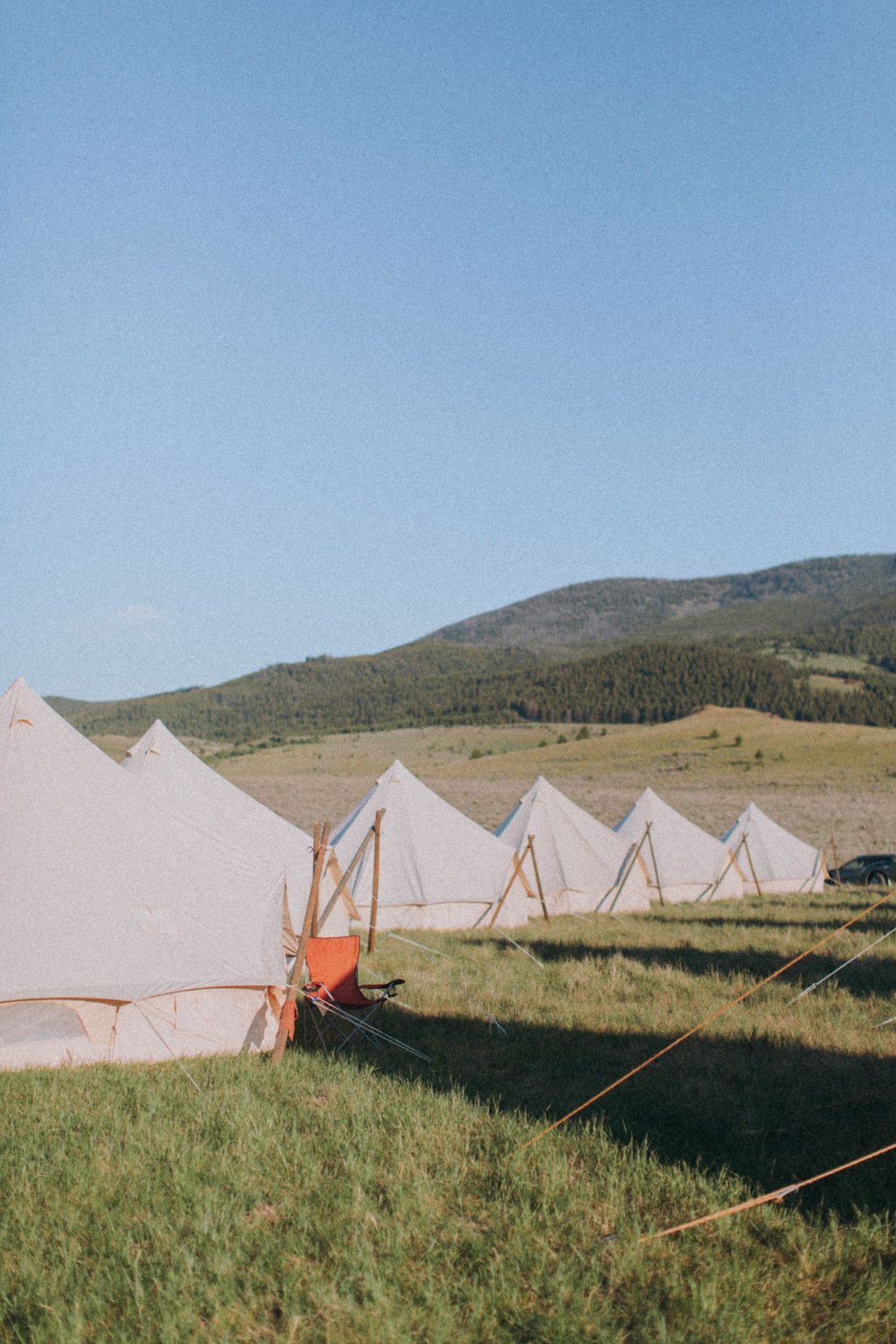 A row of tents are sitting in a grassy field with mountains in the background.