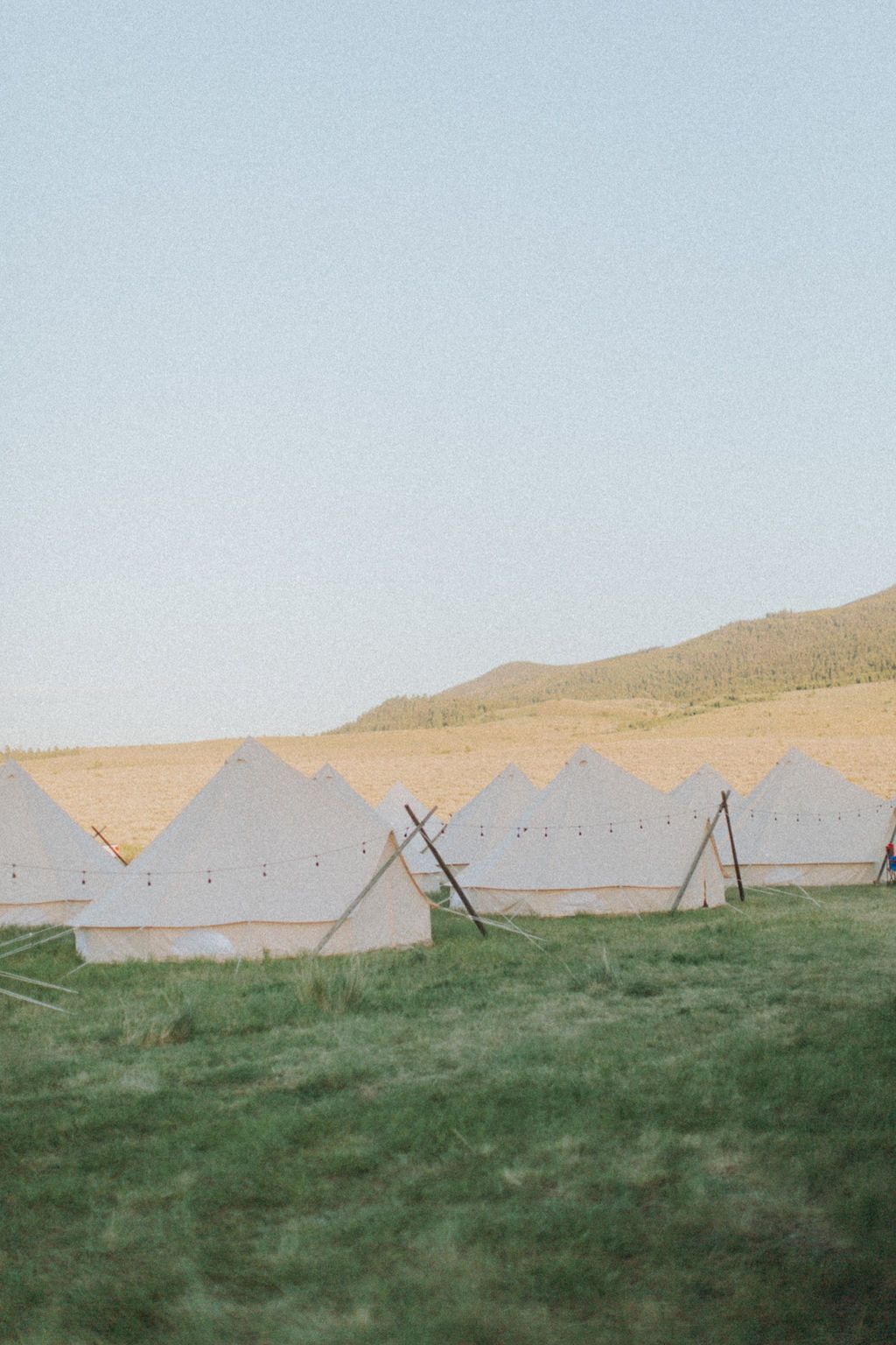 A row of tents in a grassy field with mountains in the background.