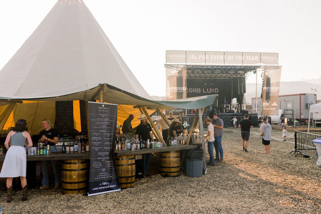 A group of people are standing in front of a stage at a festival.
