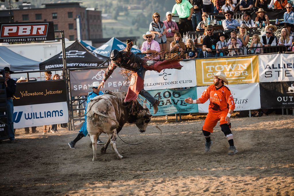A man is riding a bull at a rodeo with a pbr sign in the background