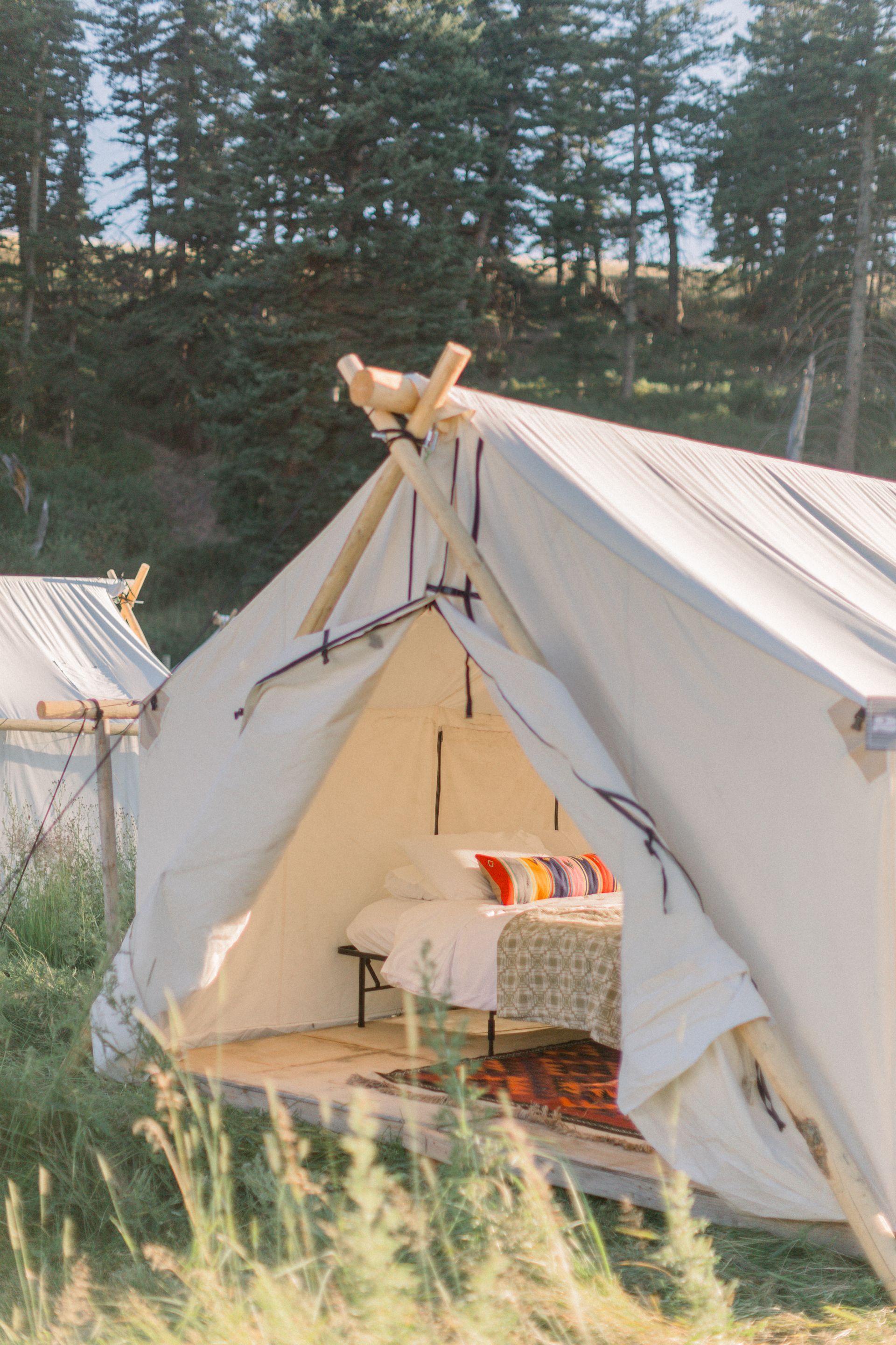 A tent with a bed inside of it is in the middle of a field.