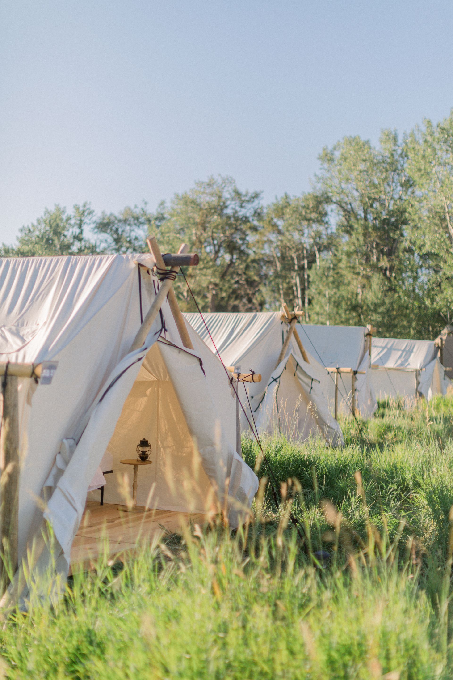 A row of tents are sitting in the middle of a field.