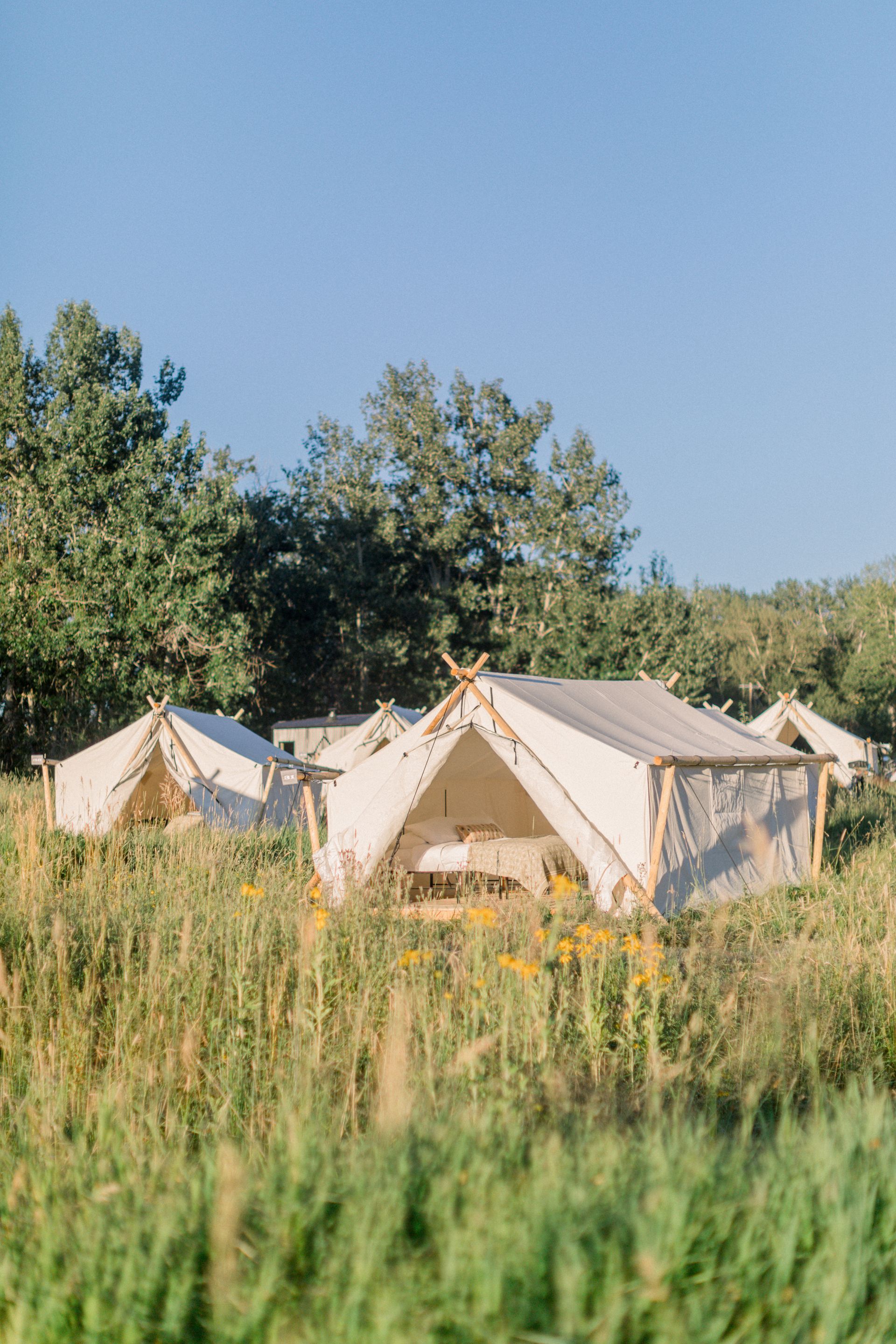 A group of tents are sitting in the middle of a field.