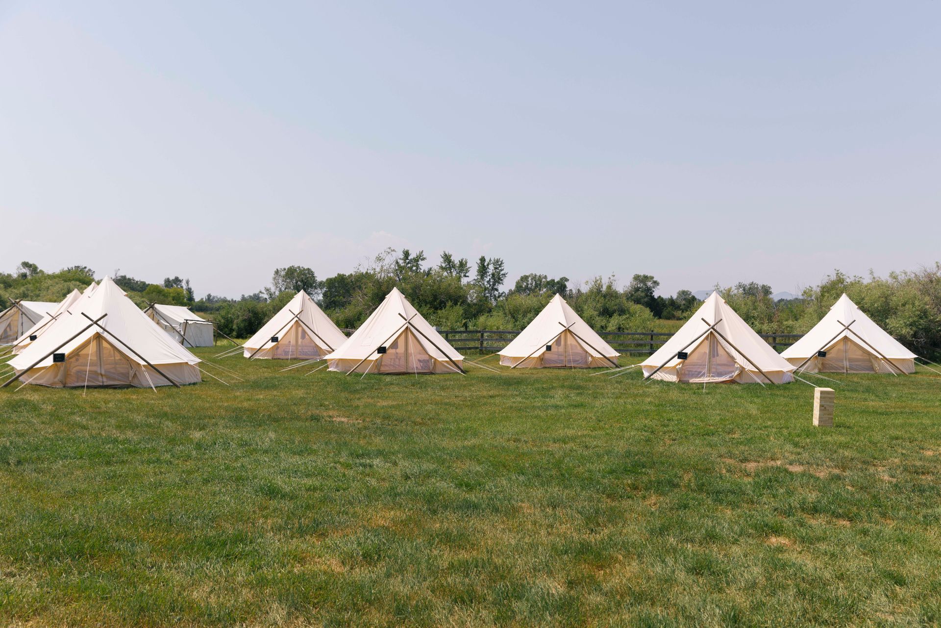 A row of tents are lined up in a grassy field.