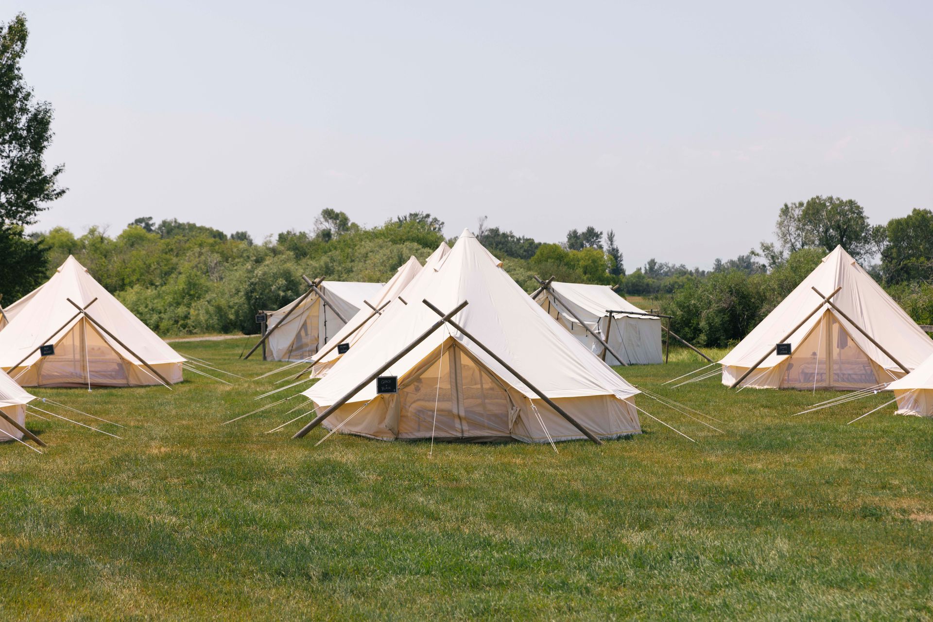 A row of tents in a grassy field on a sunny day