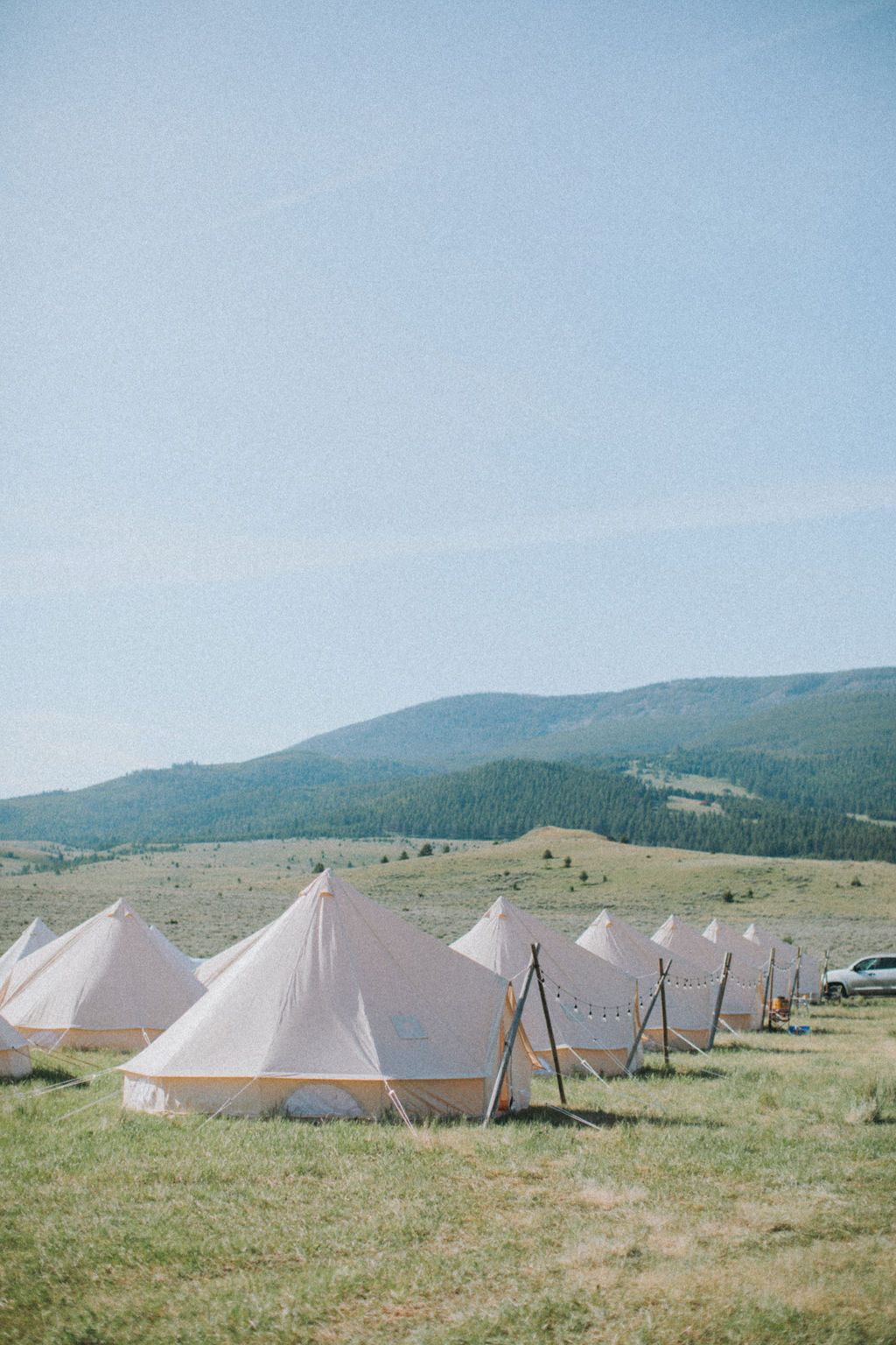 A row of tents are sitting in a grassy field with mountains in the background.