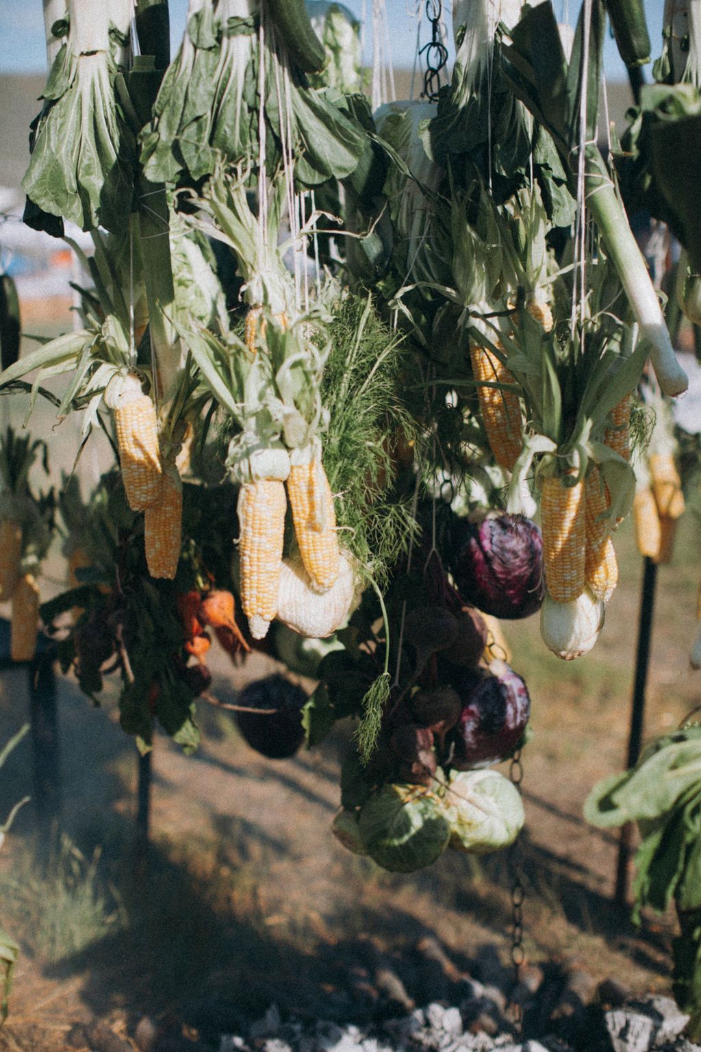 A bunch of vegetables are hanging from a plant.