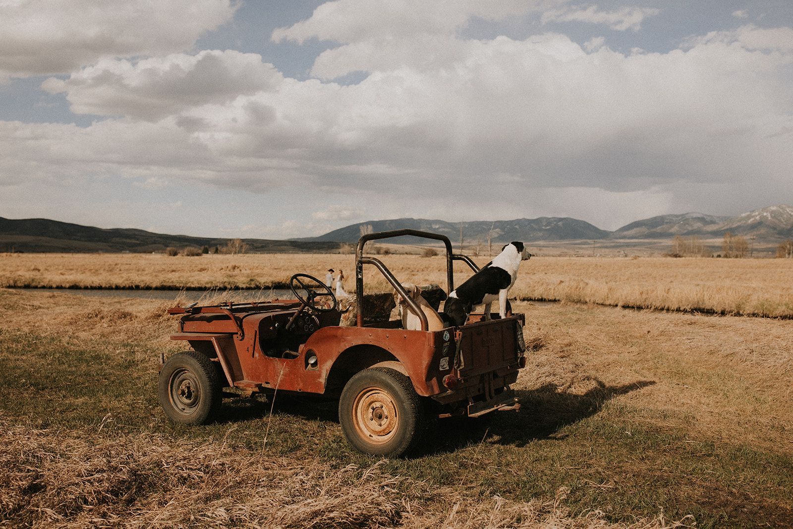 A red jeep is parked in a field with mountains in the background.