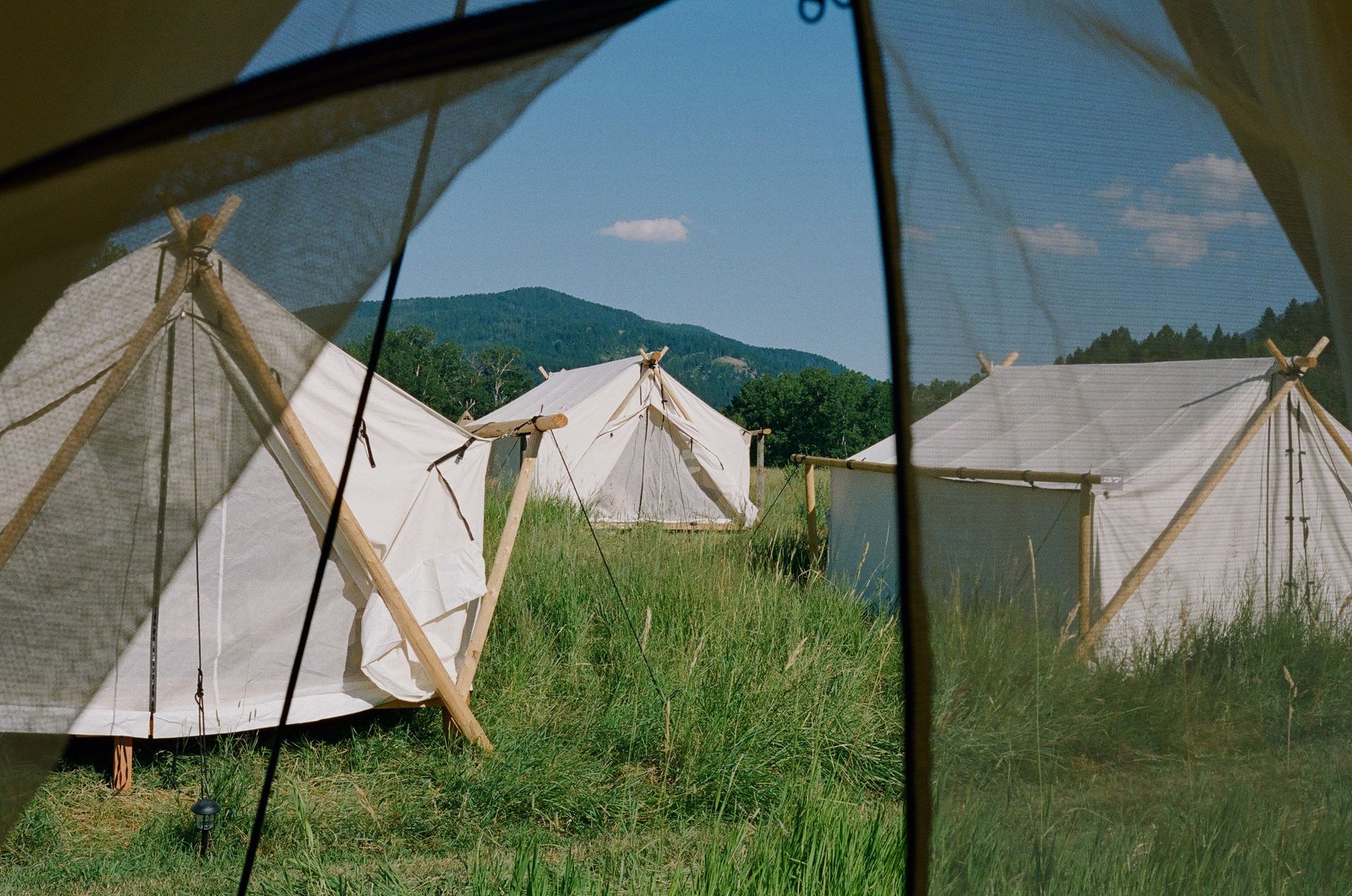 A group of tents in a field with mountains in the background