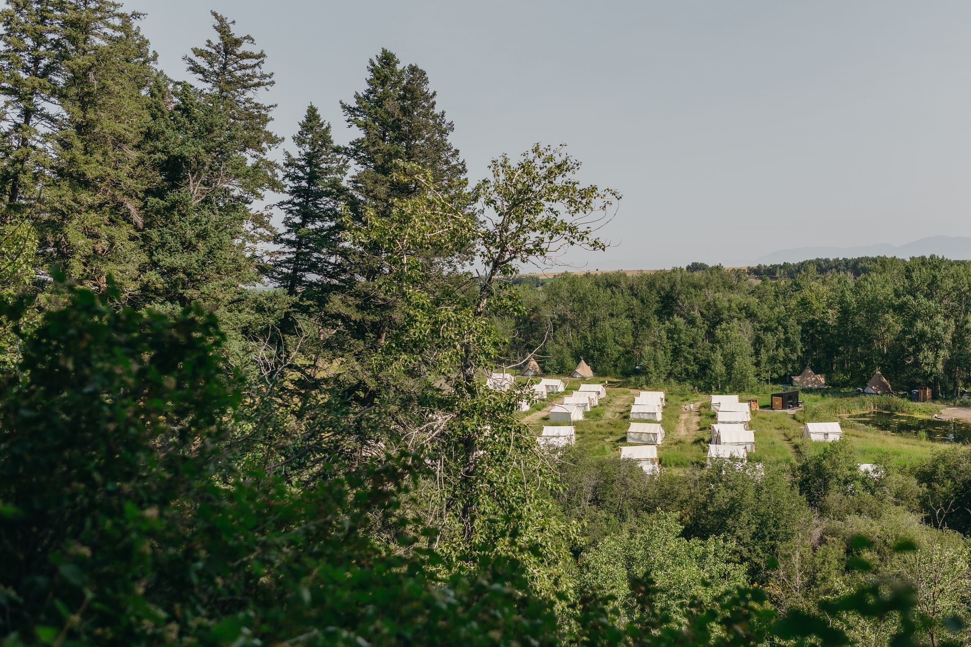 A row of tents are parked in a field surrounded by trees.