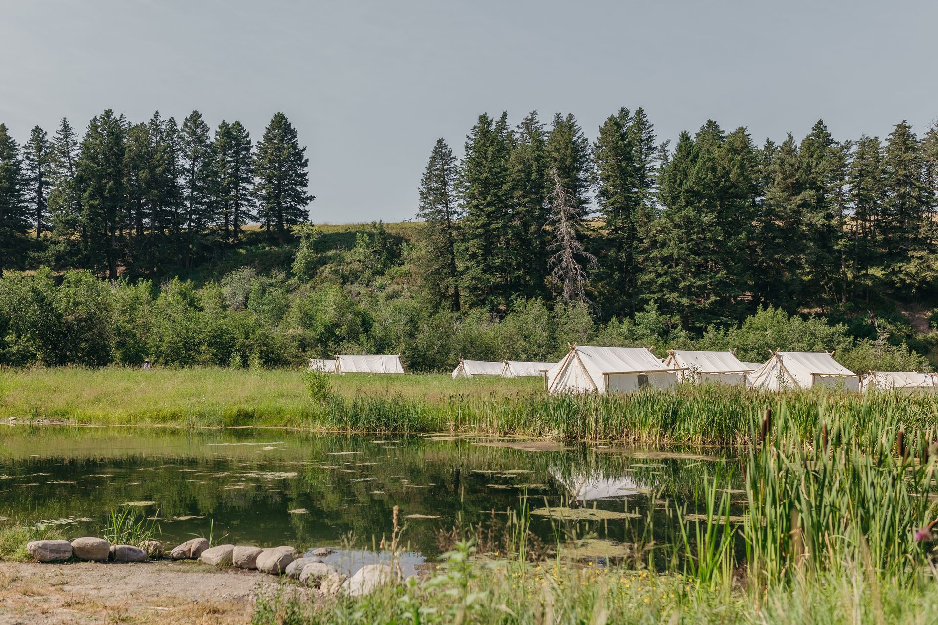 A lake surrounded by trees and grass with tents in the background.