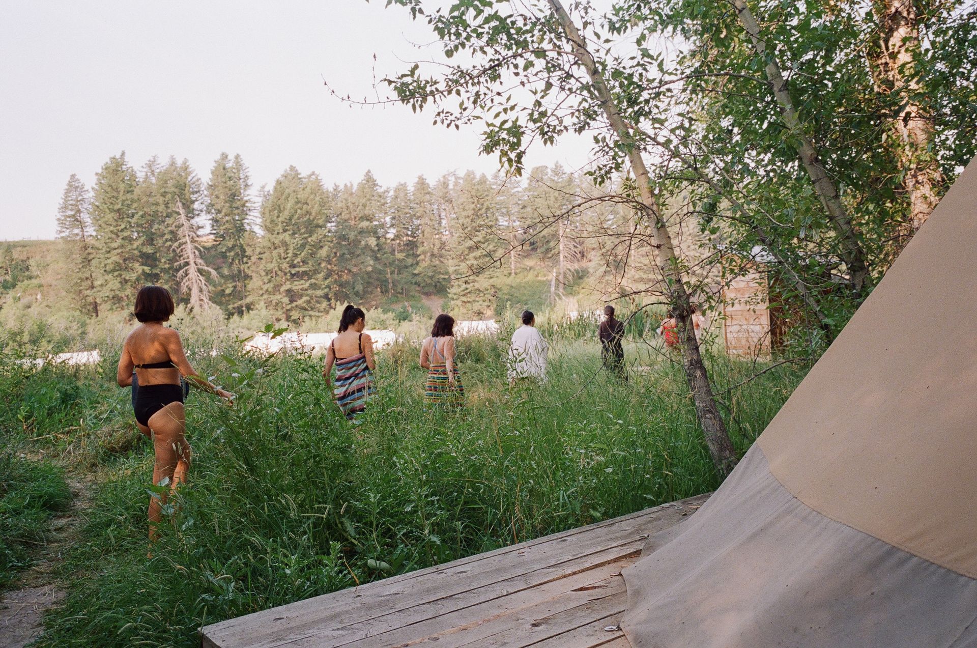 A group of people are walking through a grassy field.