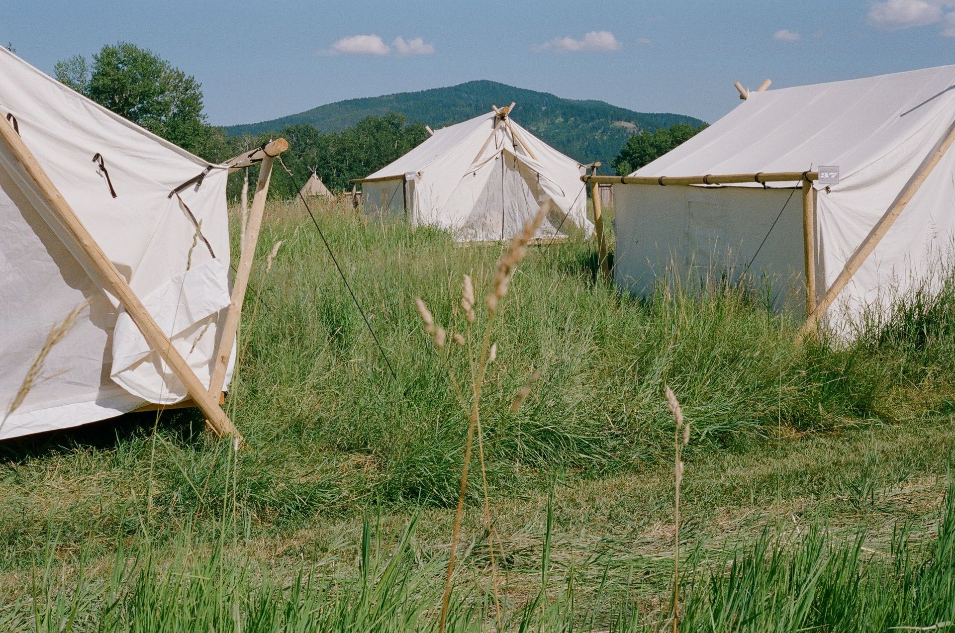 A group of tents are sitting in a grassy field with mountains in the background.
