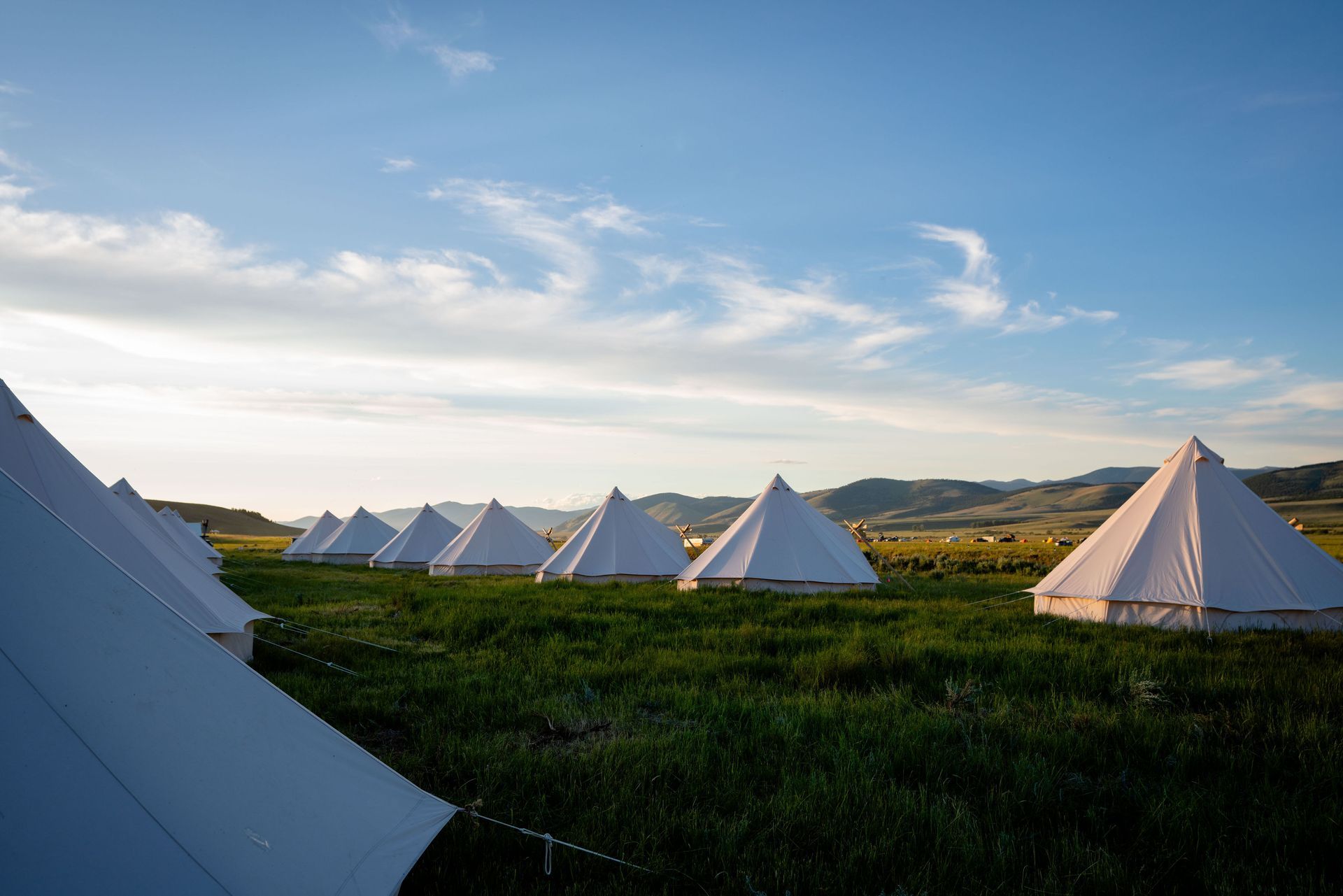 A row of tents are sitting in a grassy field.