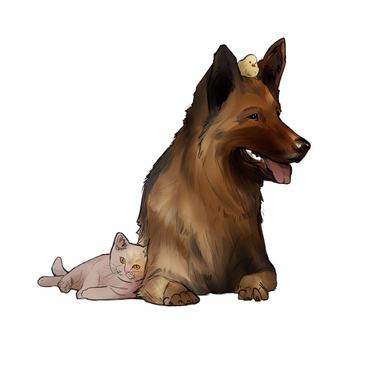 addestramento avanzato