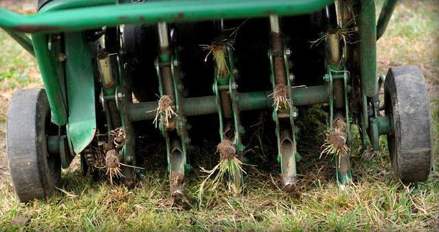 A green lawn aerator is working on a lush green lawn.