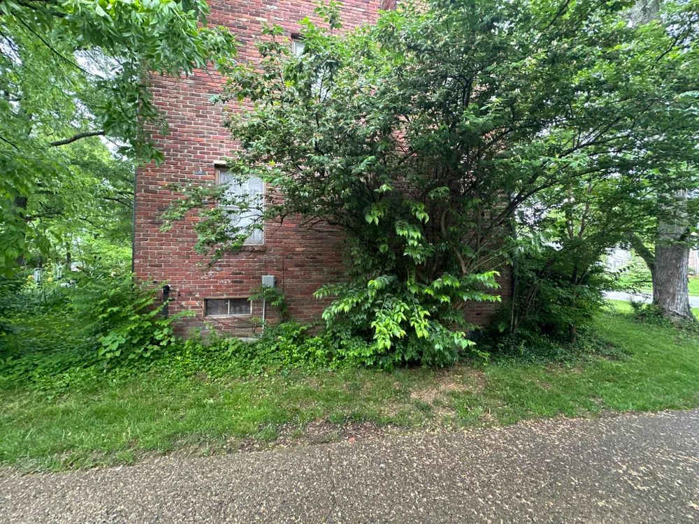 A brick building with a tree in front of it.
