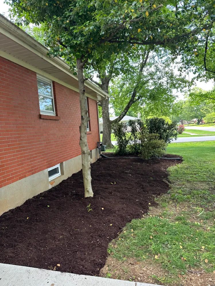 A brick house with a tree in front of it.
