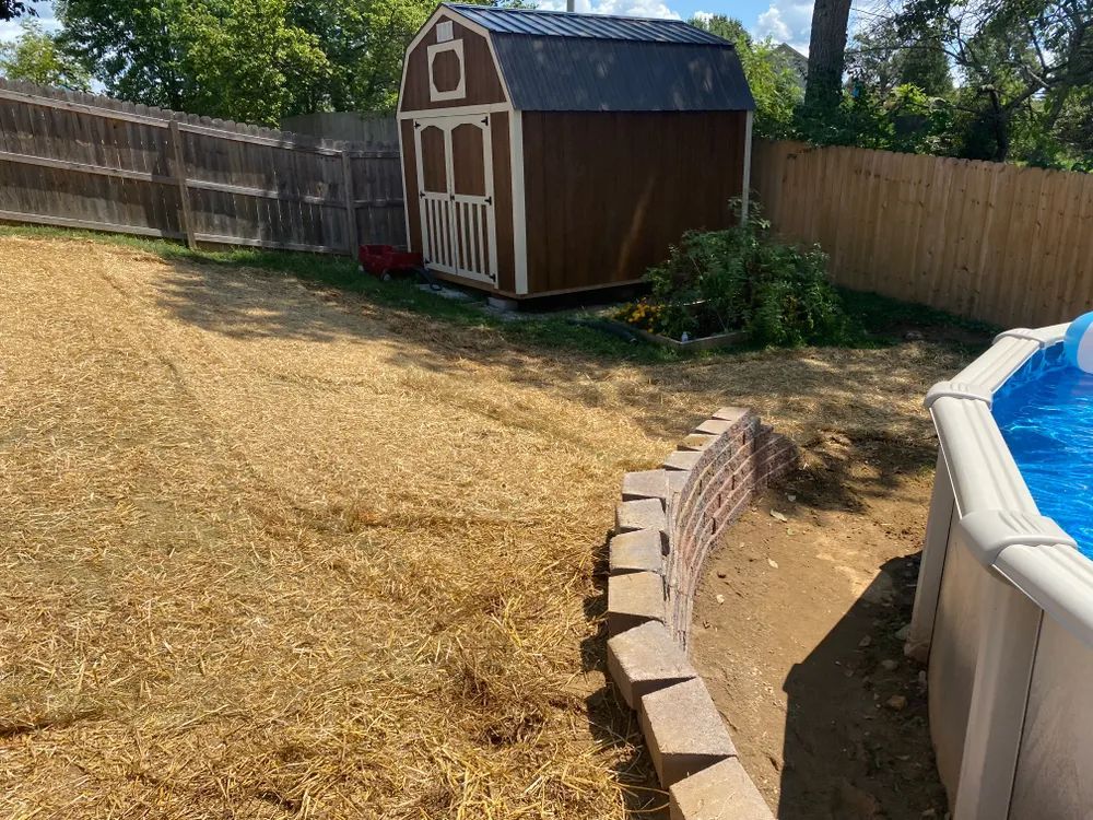 There is a shed in the backyard next to a pool.
