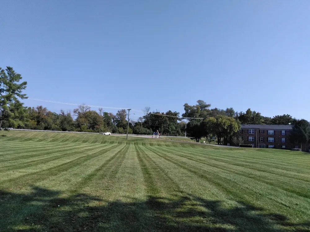 A large lush green field with a building in the background.