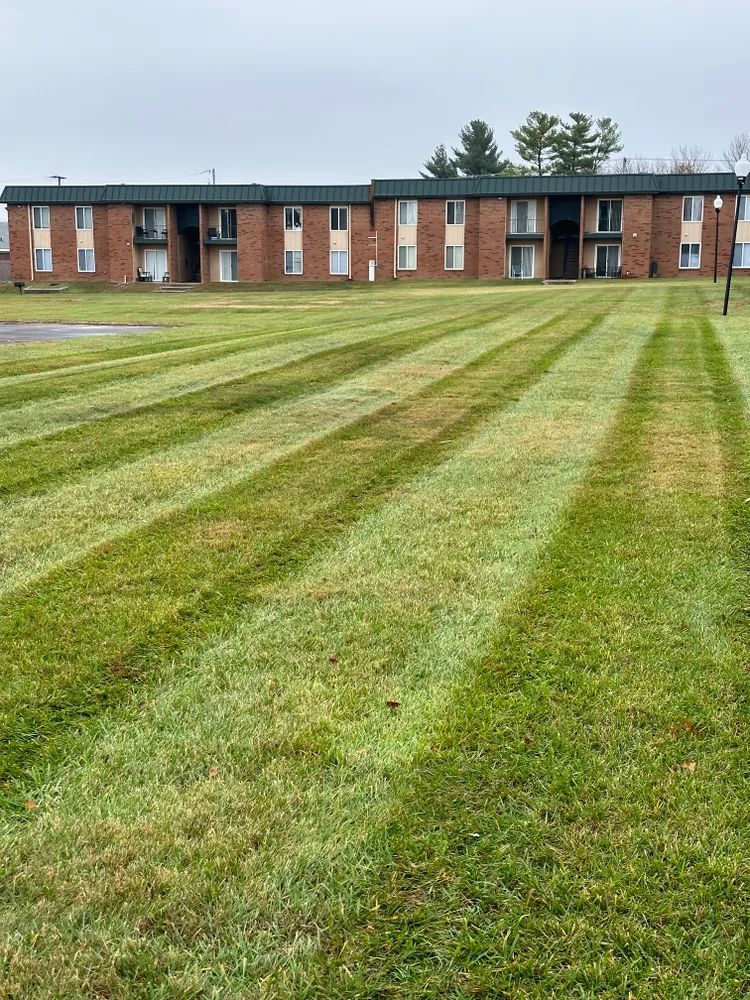 A lush green lawn in front of a brick building.