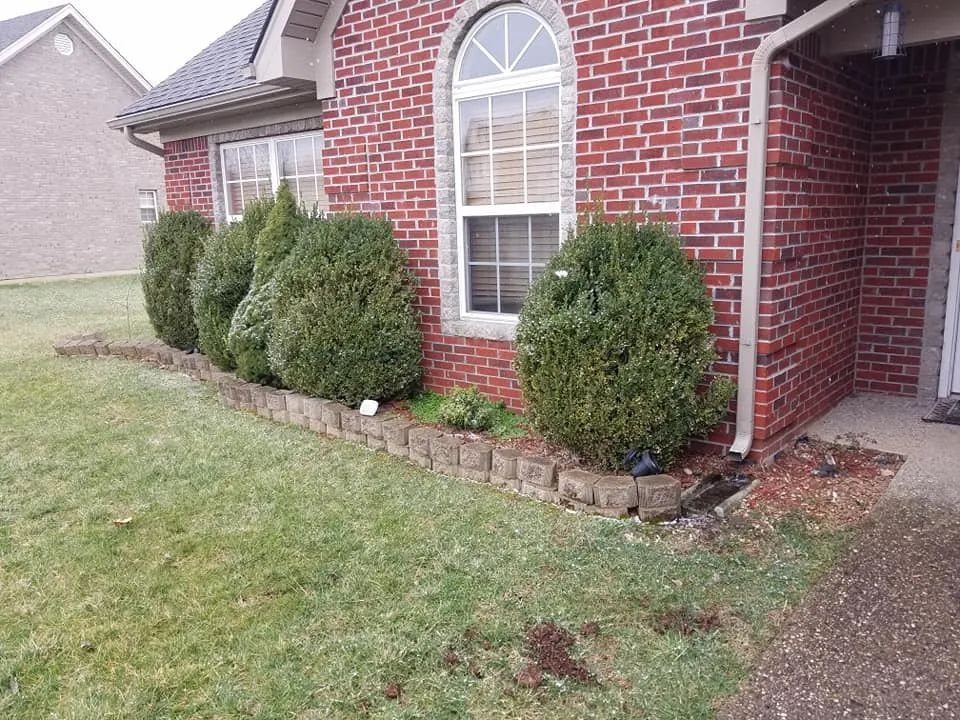 A brick house with a window and bushes in front of it.
