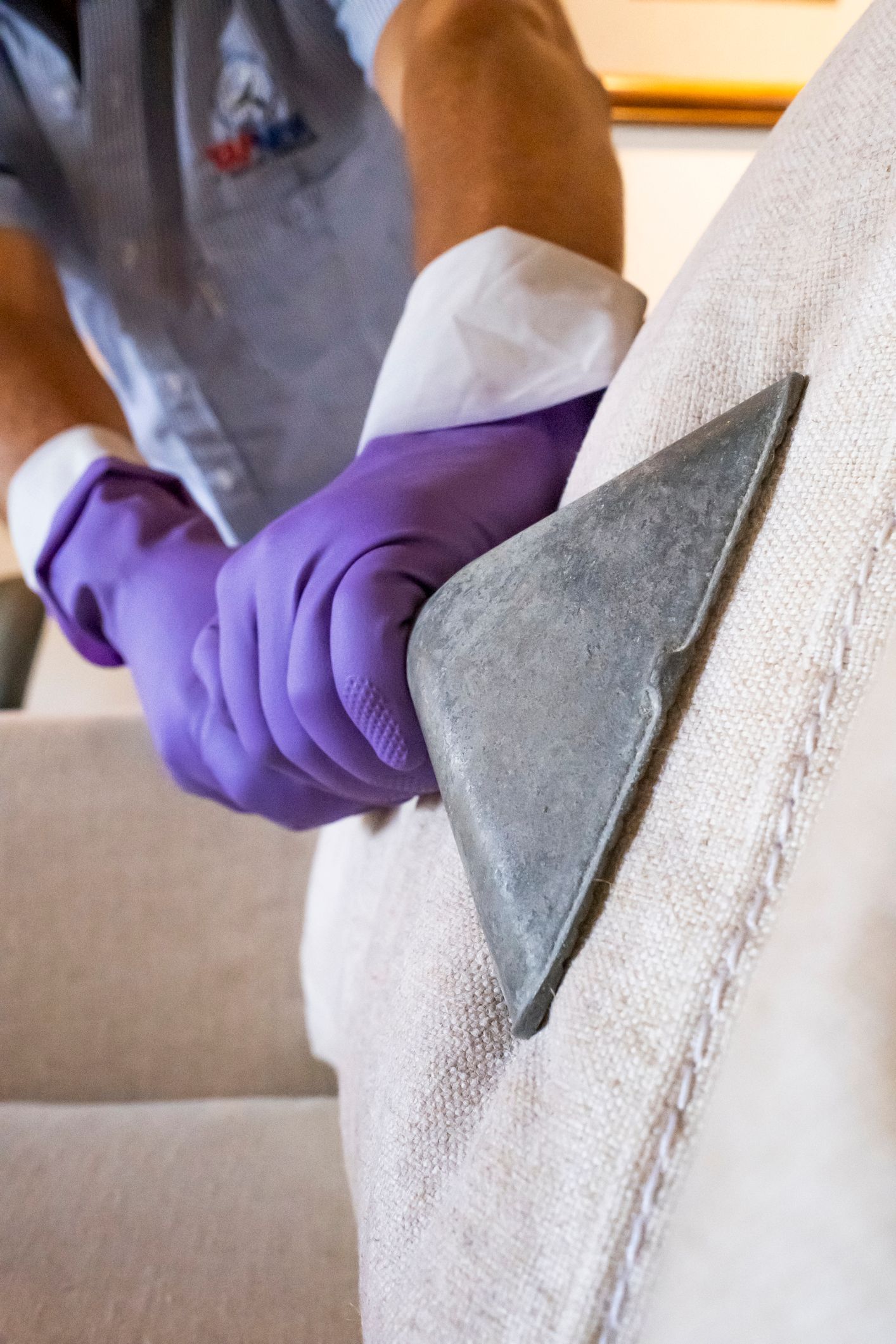 Person wearing purple gloves uses a cleaning tool on a light-colored carpeted surface.