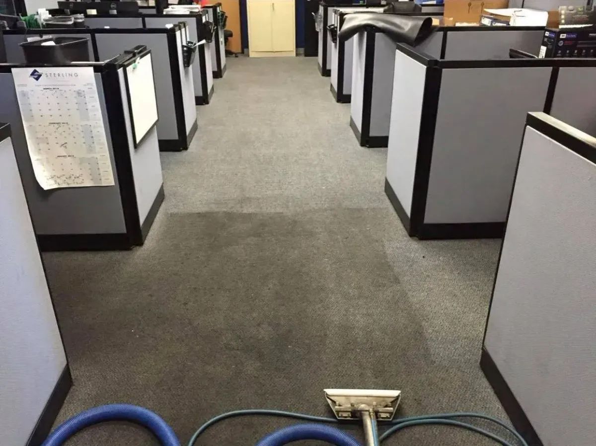 Office carpet being cleaned, blue hose and vacuum head visible. Cubicles line the space.