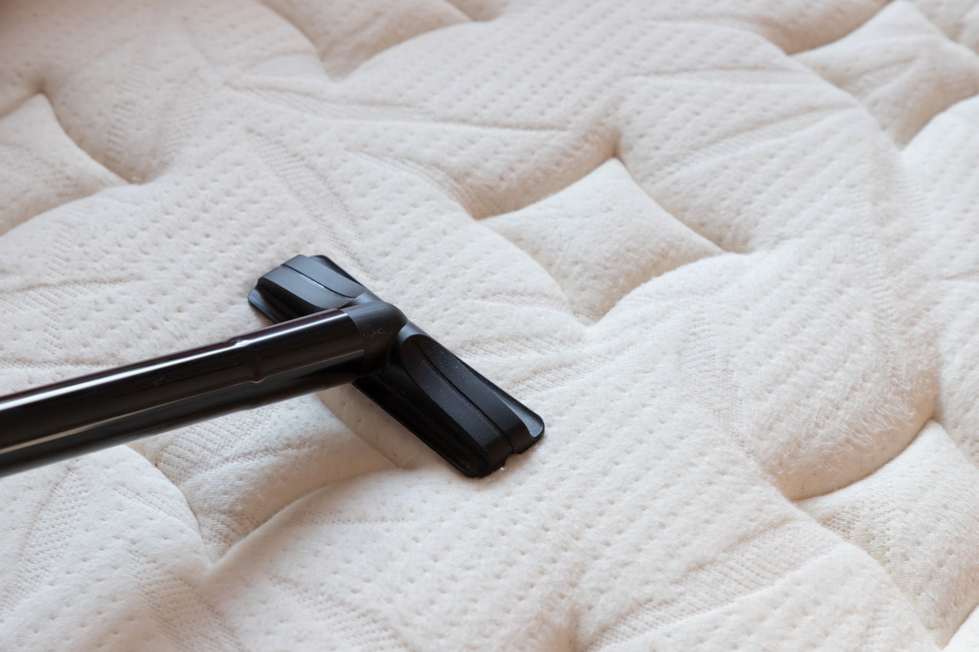 Vacuum cleaner cleaning a white, quilted mattress.