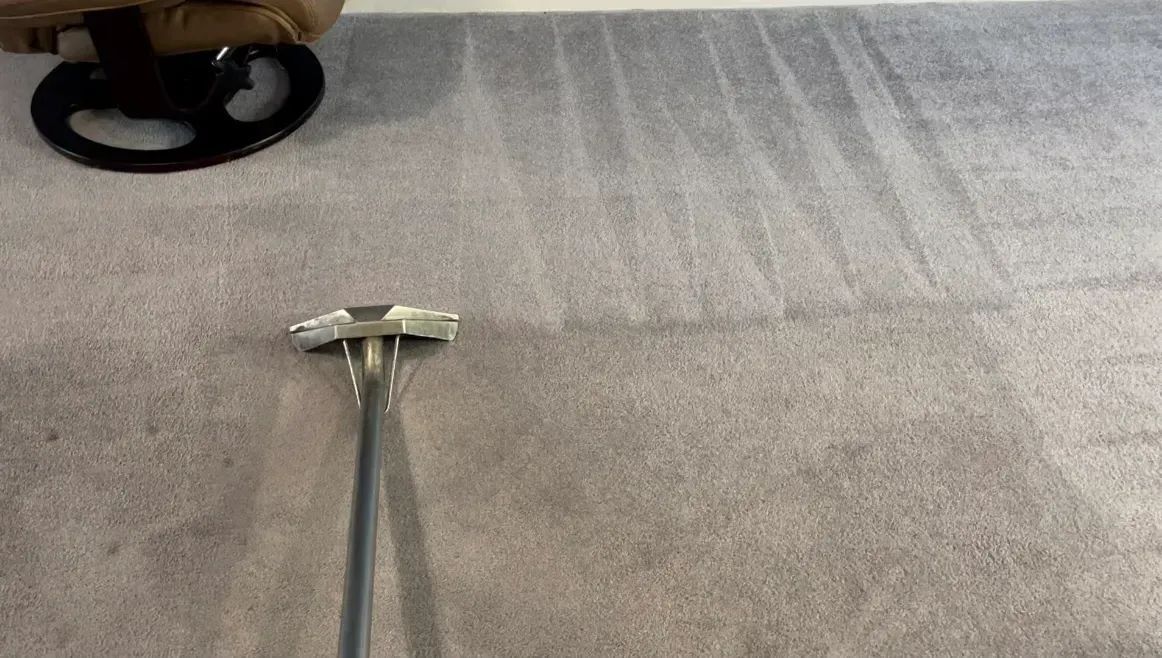 Carpet being cleaned with a machine; grey carpet and cleaning tool visible.