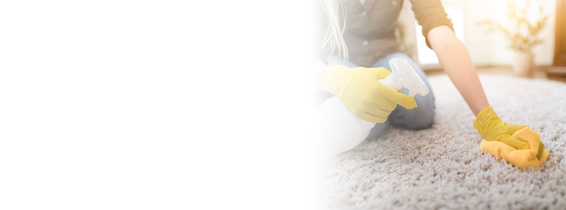 Person wearing yellow gloves sprays and scrubs a white carpet.