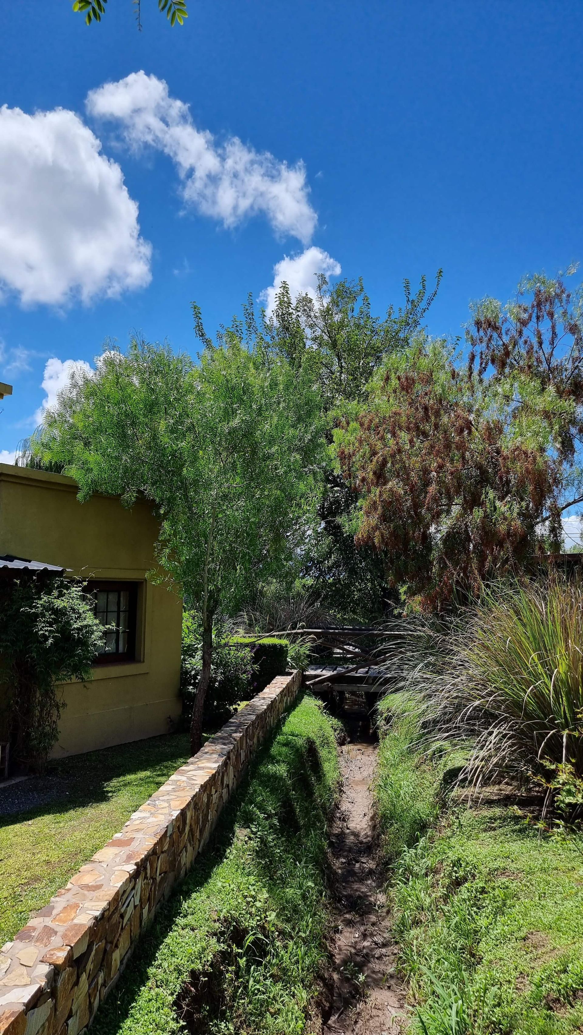 Cabañas de alejamiento