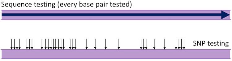 Graphical representation of Sequence vs SNP testing