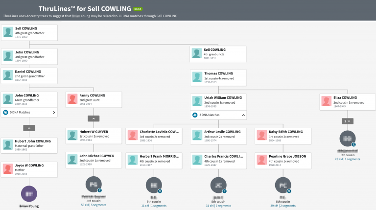 Cowling cousins through autosomal DNA testing