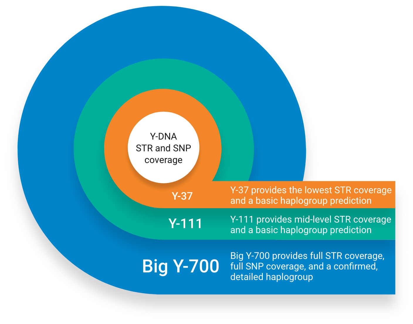 Family Tree DNA's Big Y-700 test, www.familytreedna.com