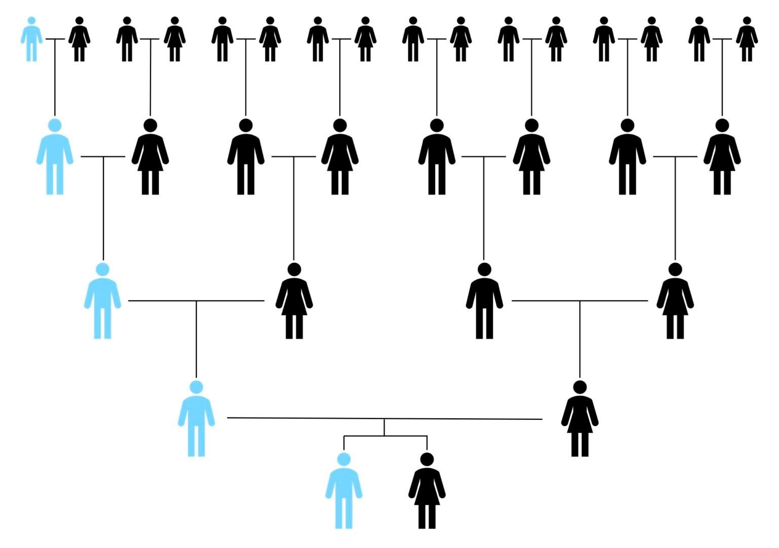 The descent of Y-DNA