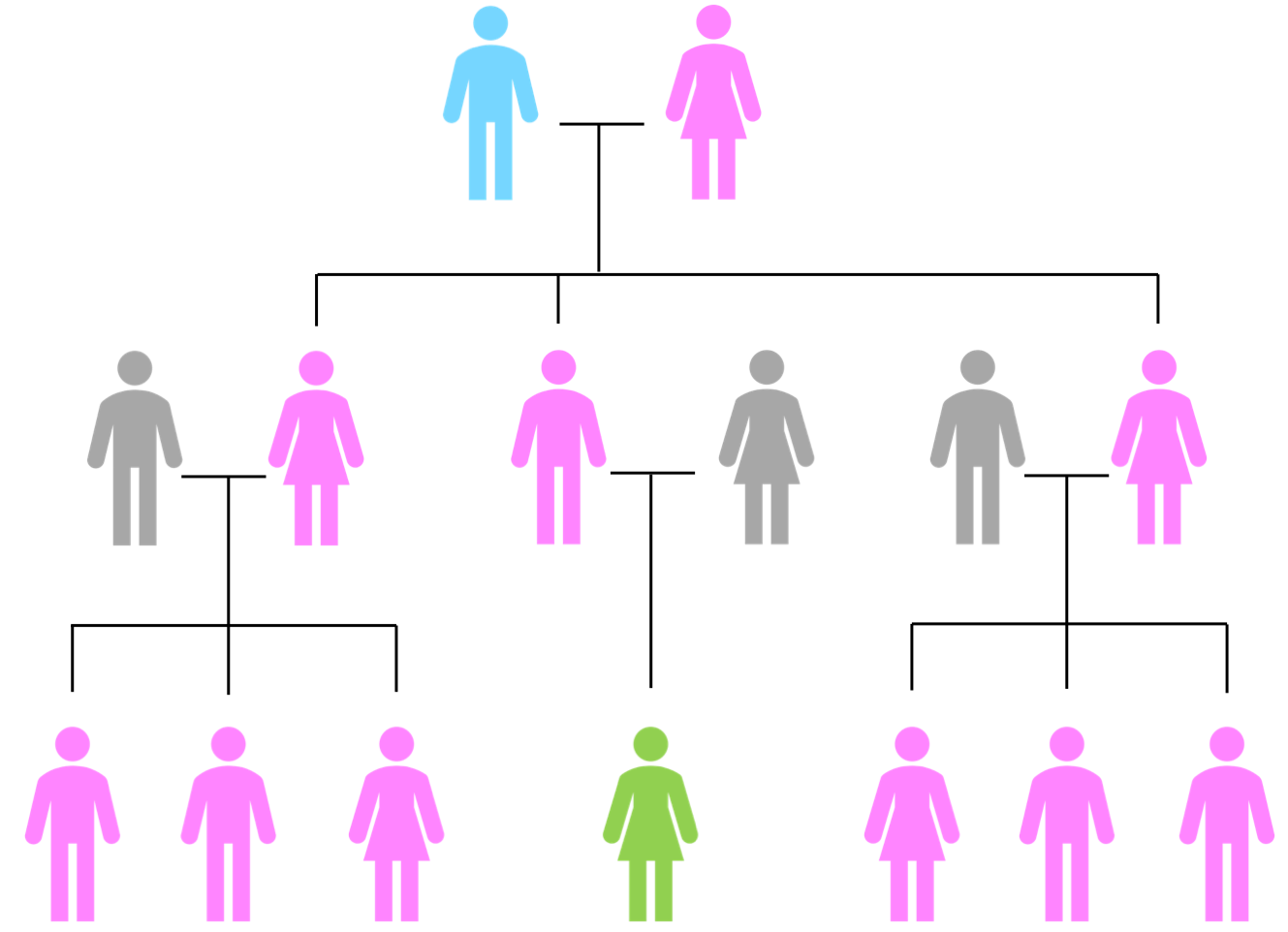 mitochondrial DNA candidates for testing