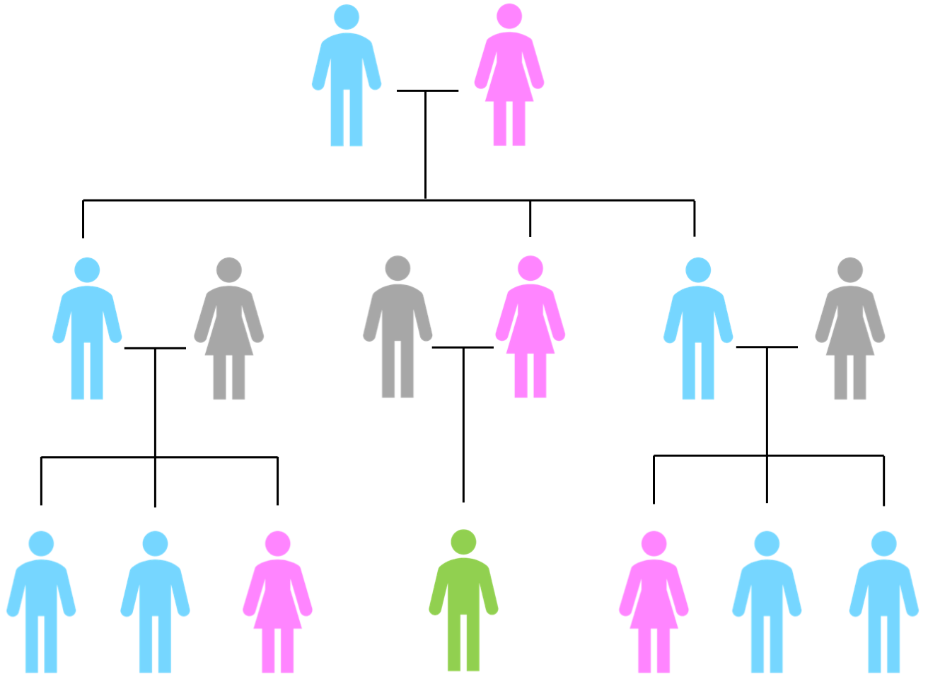 Y-DNA candidates for testing