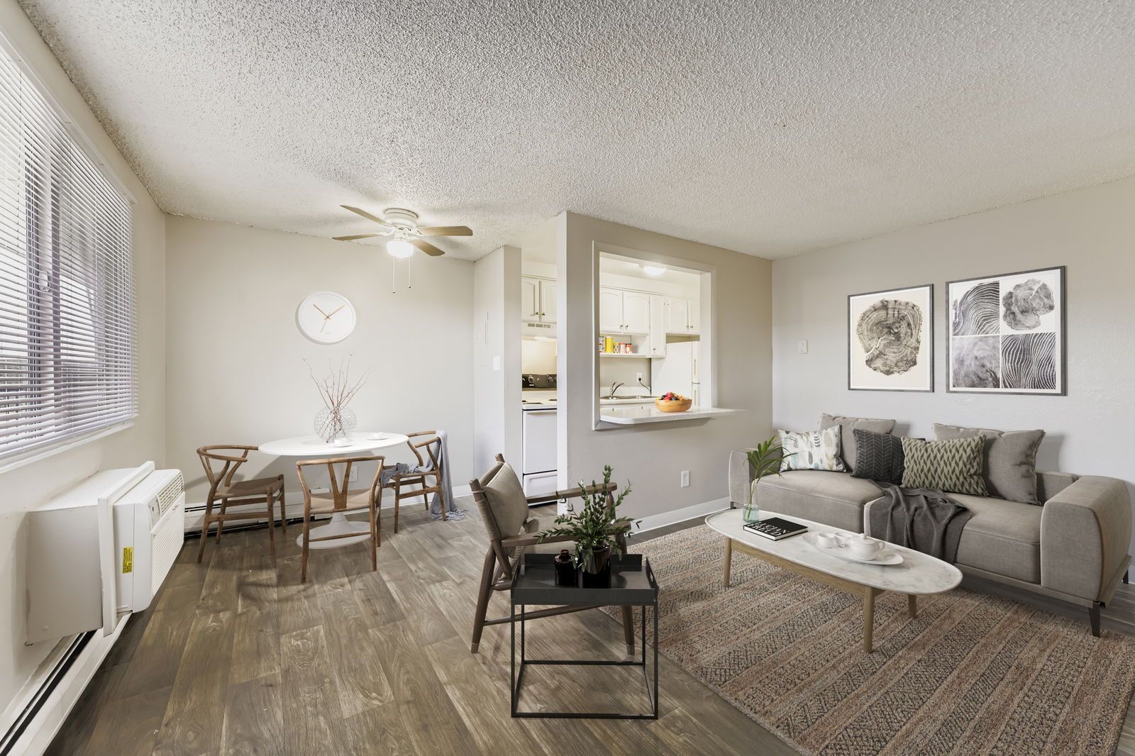 Open-concept living room with sofa, coffee table, rug, and kitchen pass-through.