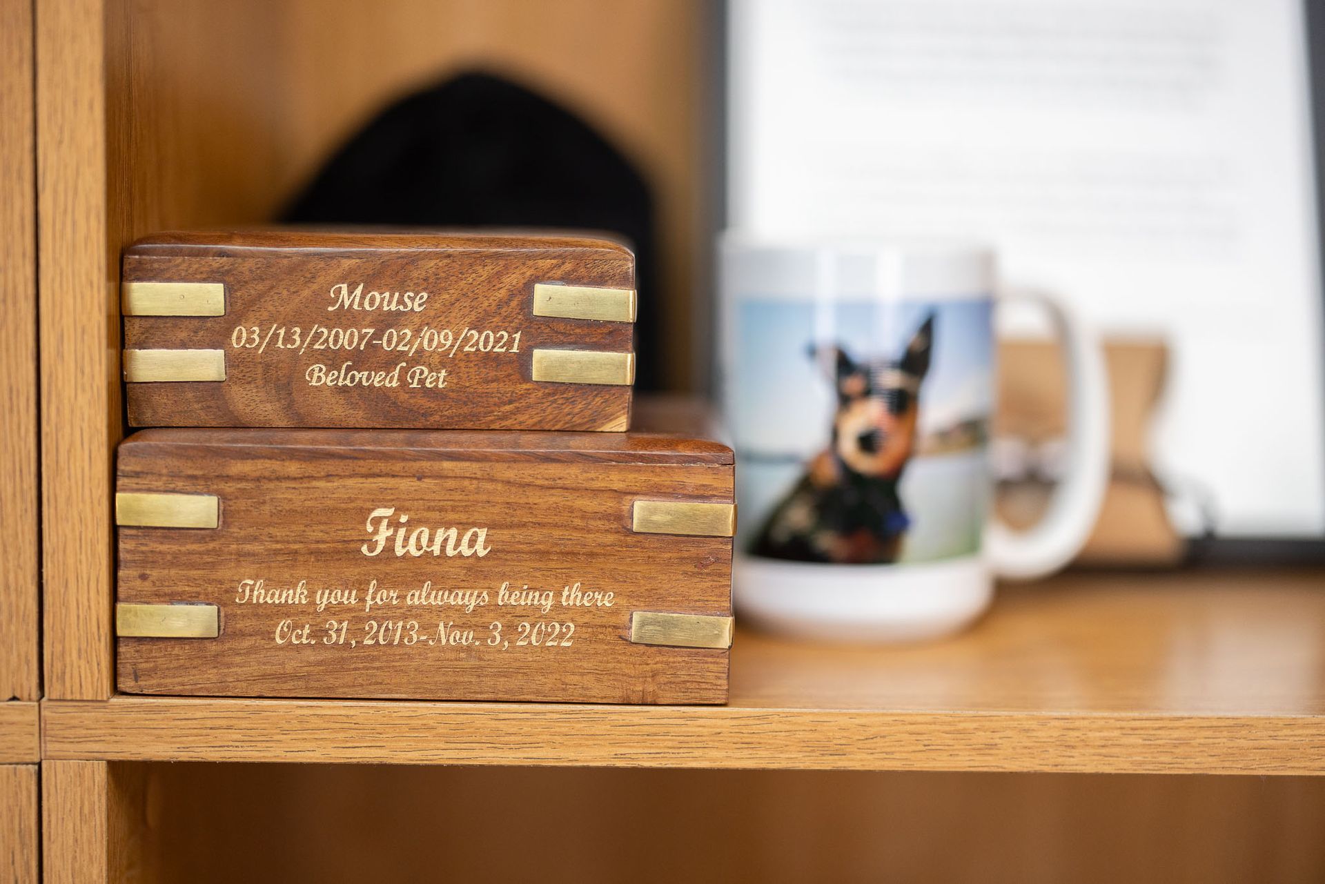 memorial alternative pet urn available at The Pet Memorial