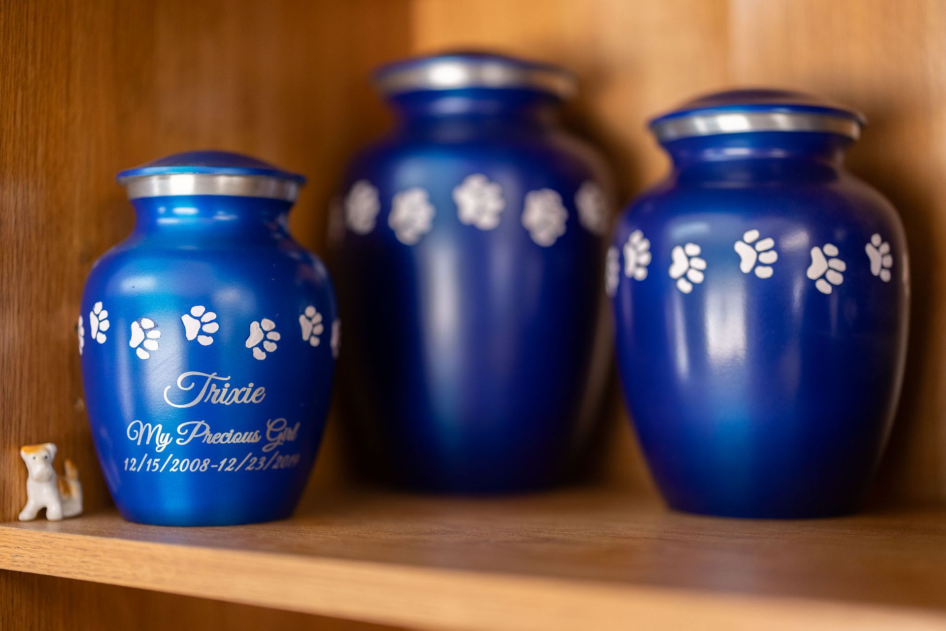 Framed photo of pet with family