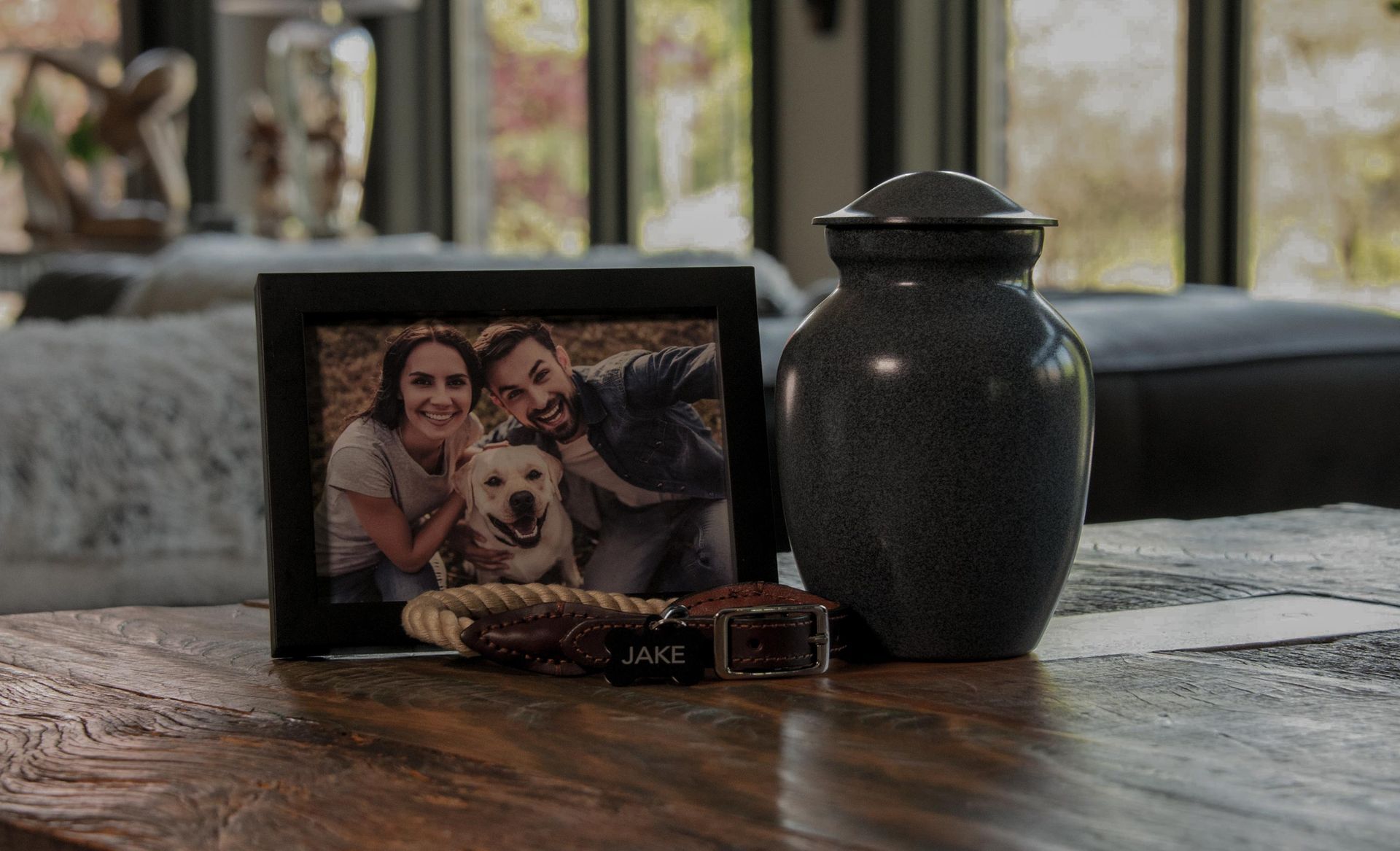 Framed photo of pet with family