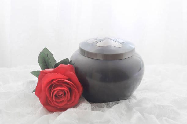 Pet cremation urn available at The Pet Memorial