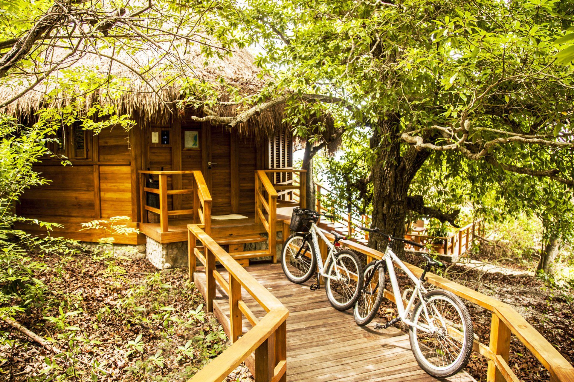 Bicicletas estacionadas junto a un bungalow en Hotel Las Islas, ideales para recorrer el complejo en un ambiente natural