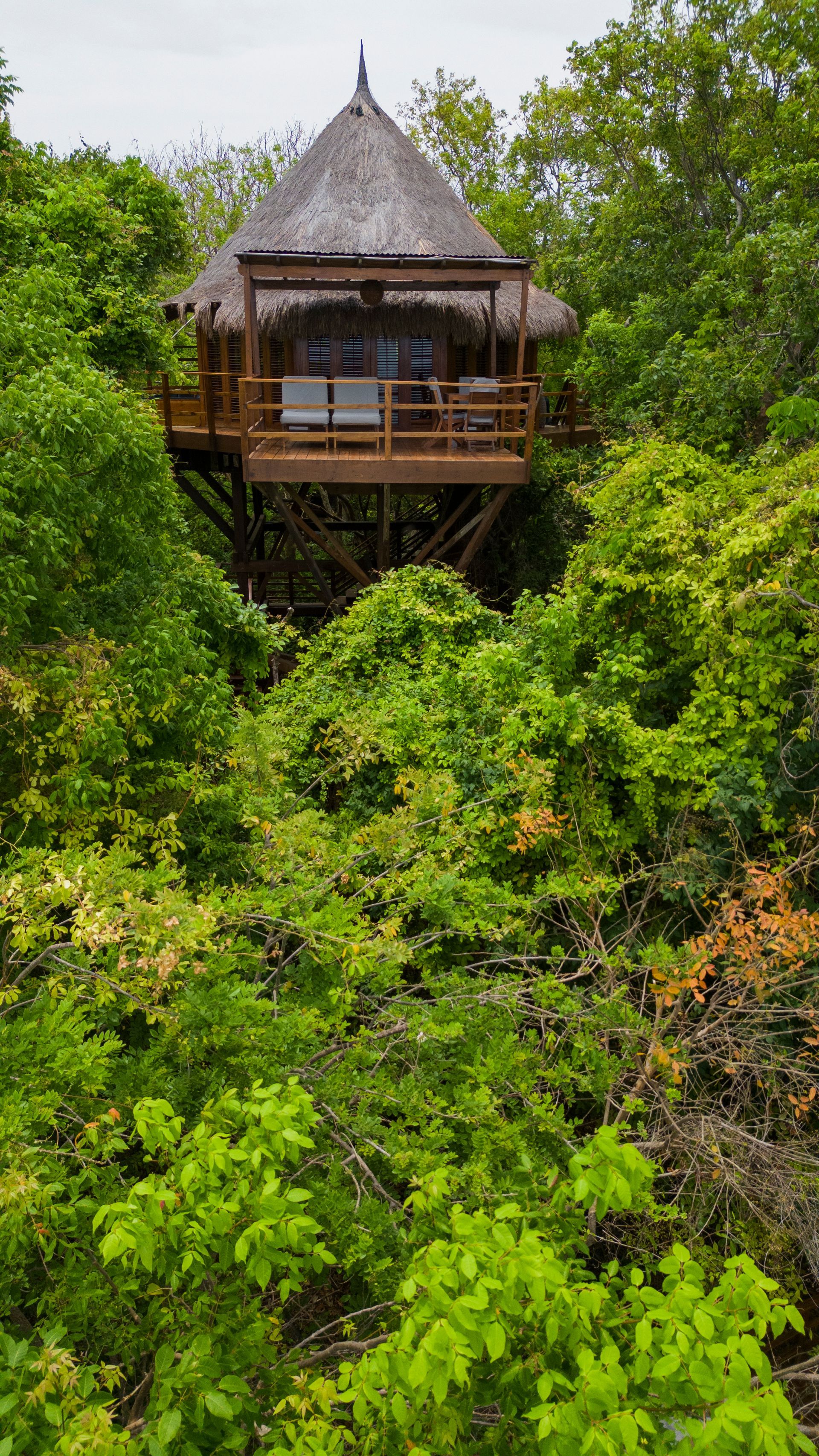 Bungalow tree top