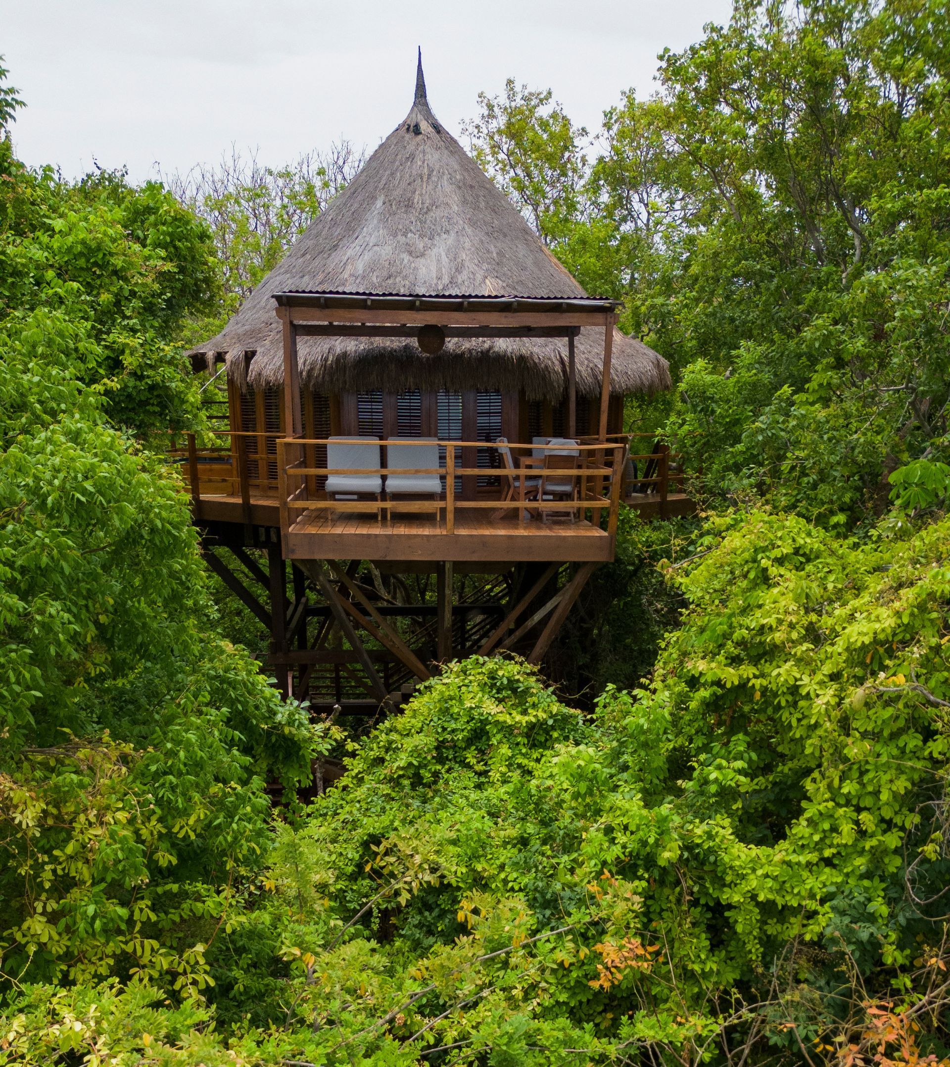Bungalow tree top