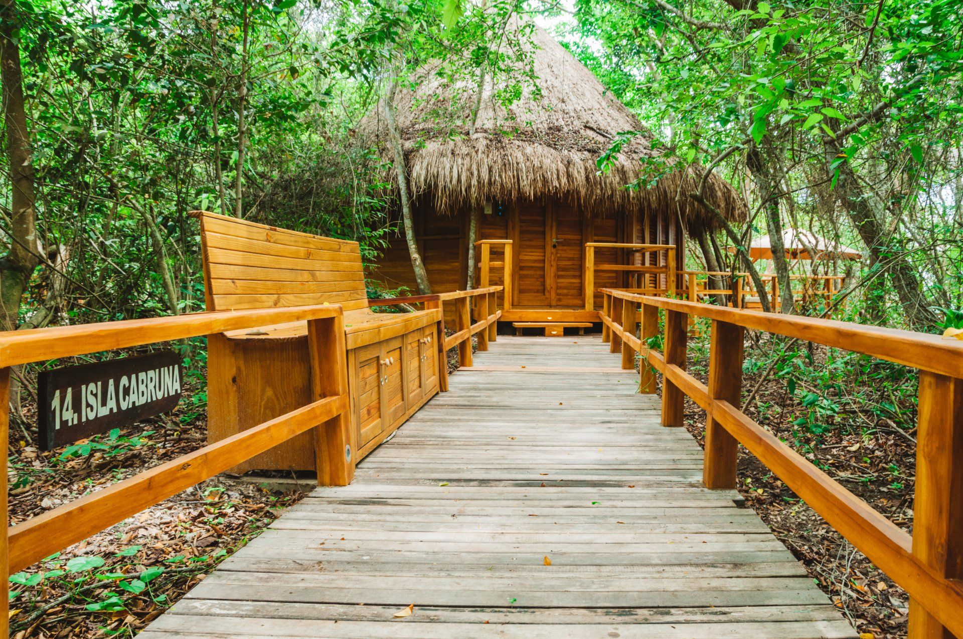 Sendero rodeado de naturaleza en Las Islas, llevando a un bungalow inmerso en el entorno natural.