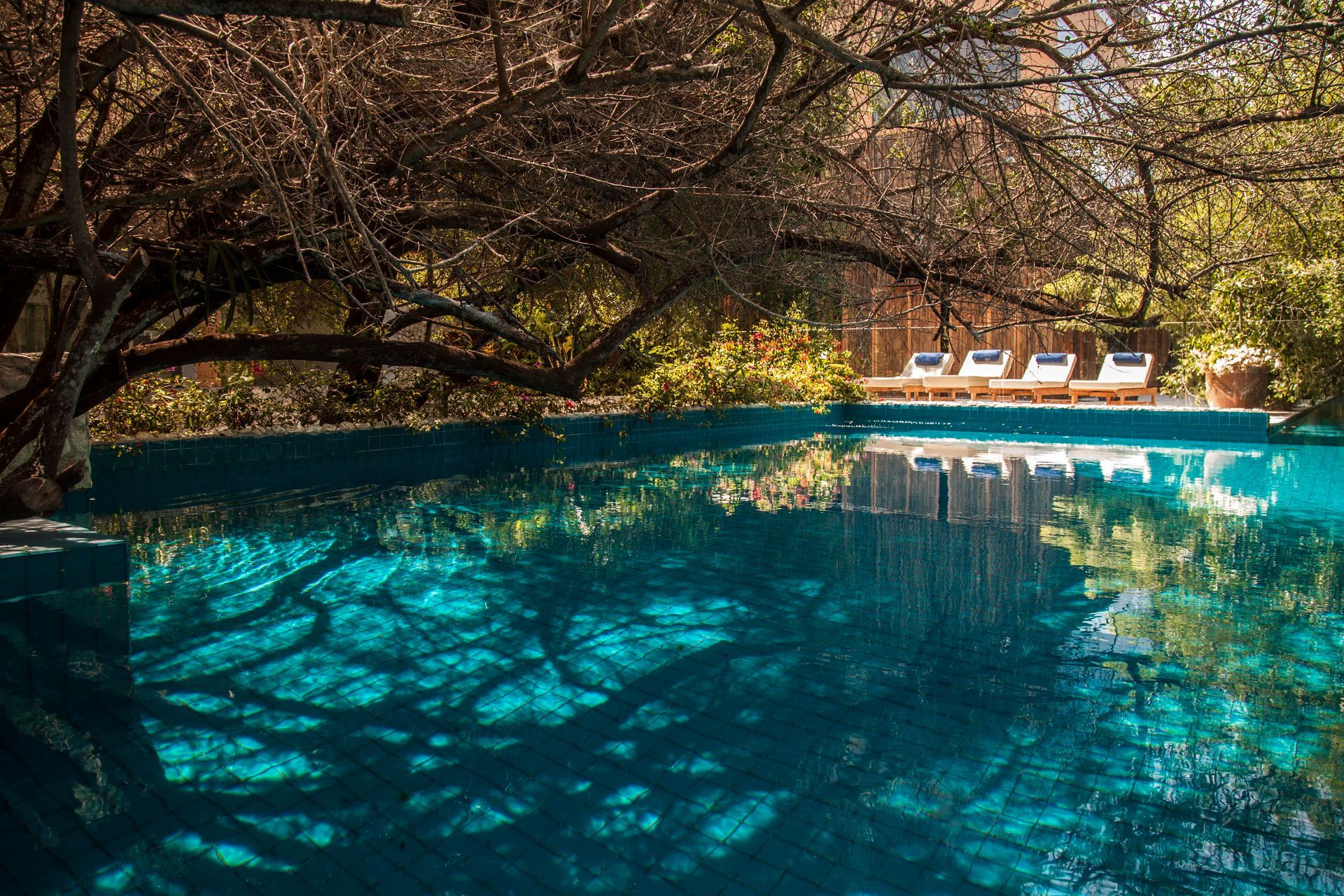 hotel las islas baru cartagena, una experiencia de aventura y naturaleza