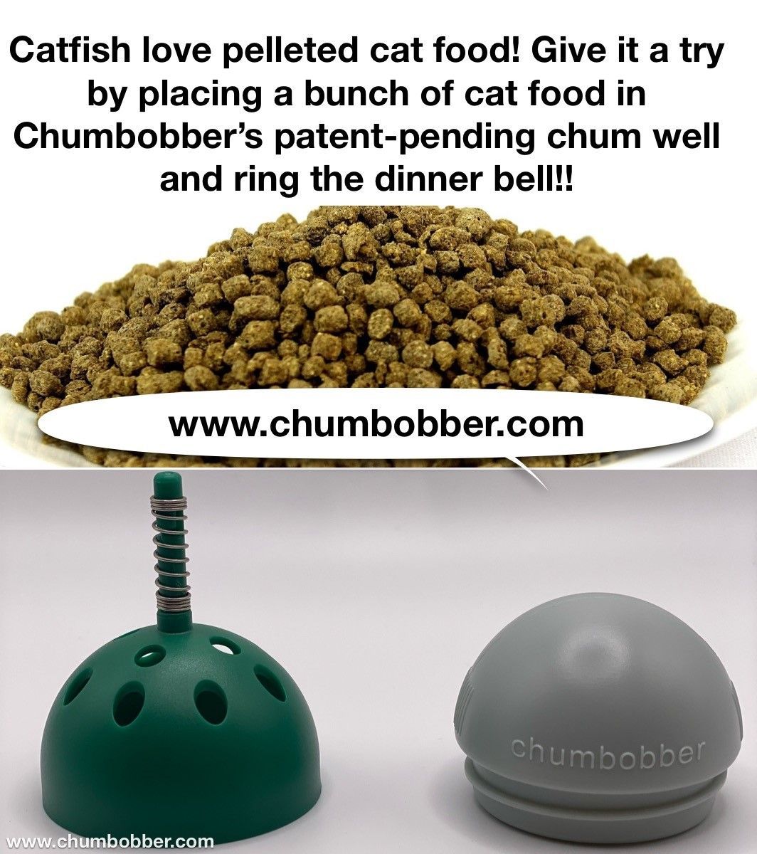 A catfish love pelleted cat food by placing a bunch of cat food in chumbobber 's patent-pending chum well