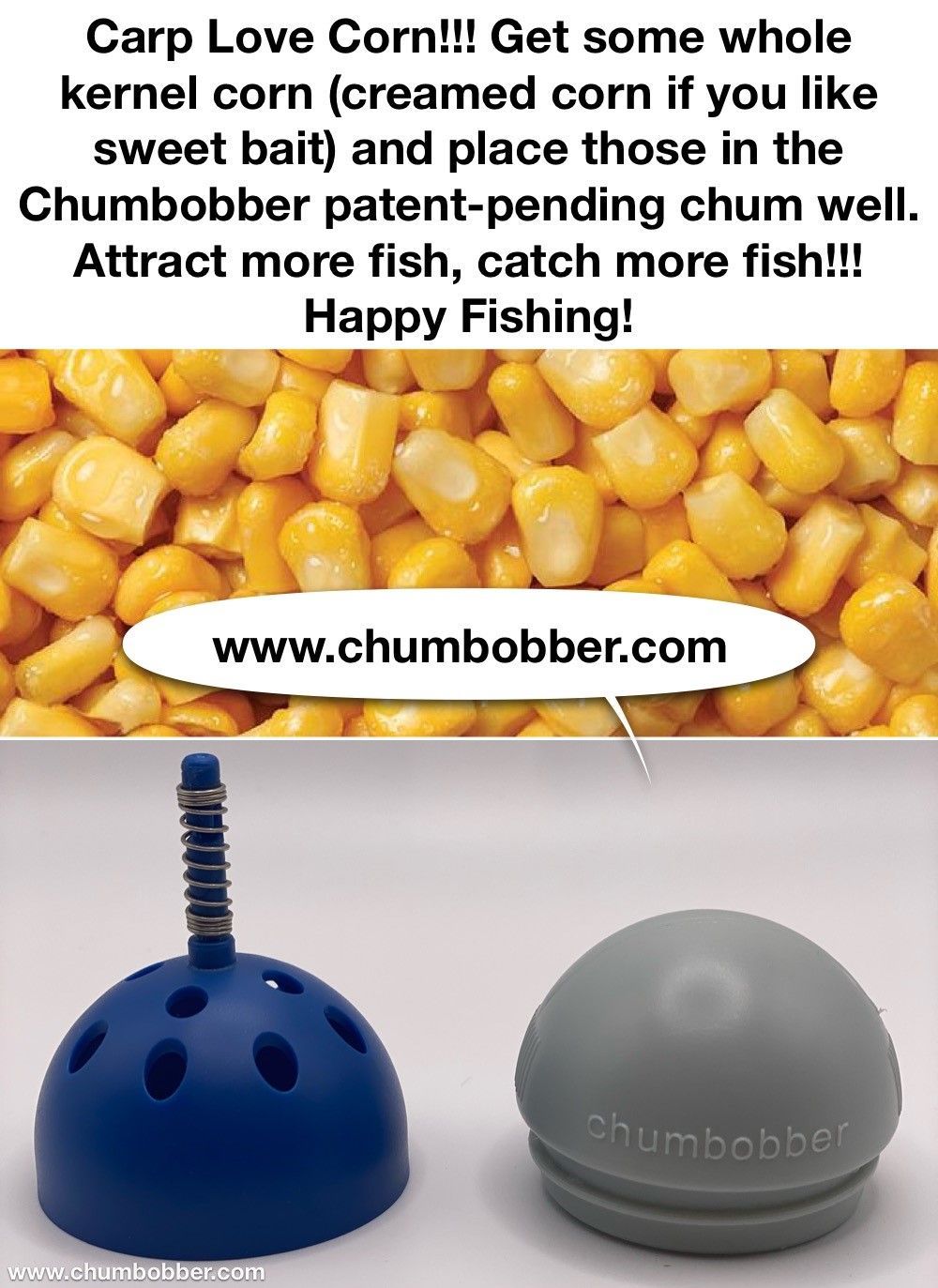 Carp love corn get some whole kernel corn creamed corn if you like sweet bait